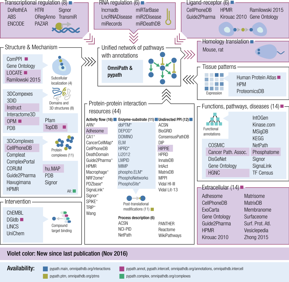 OmniPath Intra intercellular signaling knowledge